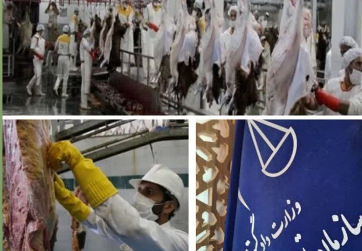 محکومیت ۴۰۰ میلیون ریالی کشتاردام شهرستان چادگان