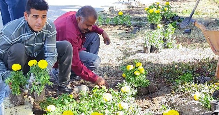 گلکاری گسترده پائیزه و زمستانه در سطح شهر ۱۴۰۲