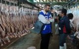 نظارت بهداشتی بر کشتار و توزیع بیش از ۷ هزار تن گوشت دام سبک در شهرستان خمینی شهر نظارت بهداشتی بر کشتار و توزیع بیش از ۷ هزار تن گوشت دام سبک در شهرستان خمینی شهر