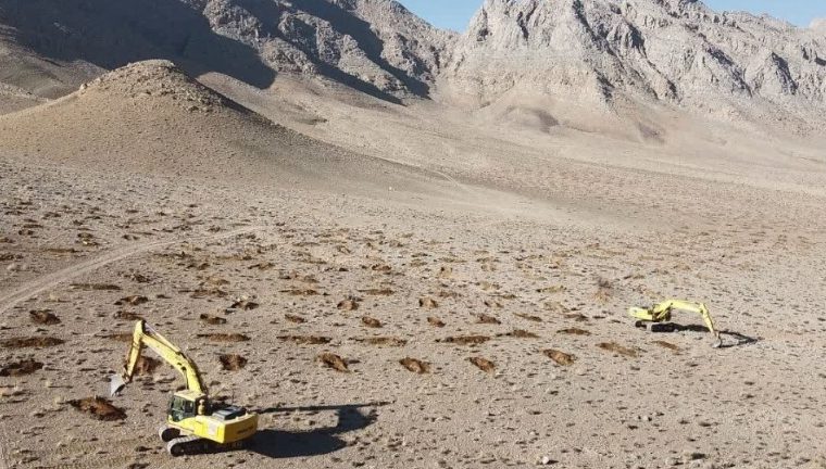 اتمام طرح کاشت ۱۰۰۰ هکتار بذر بادام اسکوپاریا در هلدینگ پتروپالایش اصفهان اتمام طرح کاشت ۱۰۰۰ هکتار بذر بادام اسکوپاریا در هلدینگ پتروپالایش اصفهان