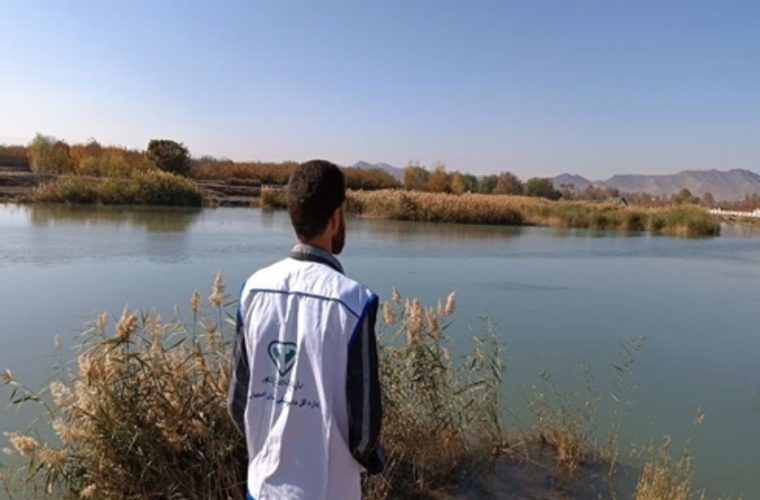 رصد و پایش بیماری آنفلوانزای فوق حاد پرندگان در پرندگان مهاجر شهرستان مبارکه