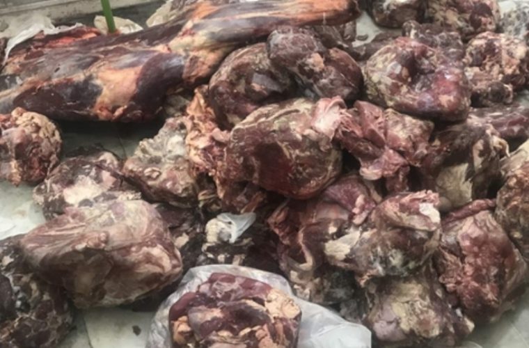 کشف و معدوم سازی بیش از ۳ هزار و ۷۰۰ کیلو گرم فرآوردههای خام دامی غیر بهداشتی در شهرستان کاشان کشف و معدوم سازی بیش از ۳ هزار و ۷۰۰ کیلو گرم فرآوردههای خام دامی غیر بهداشتی در شهرستان کاشان