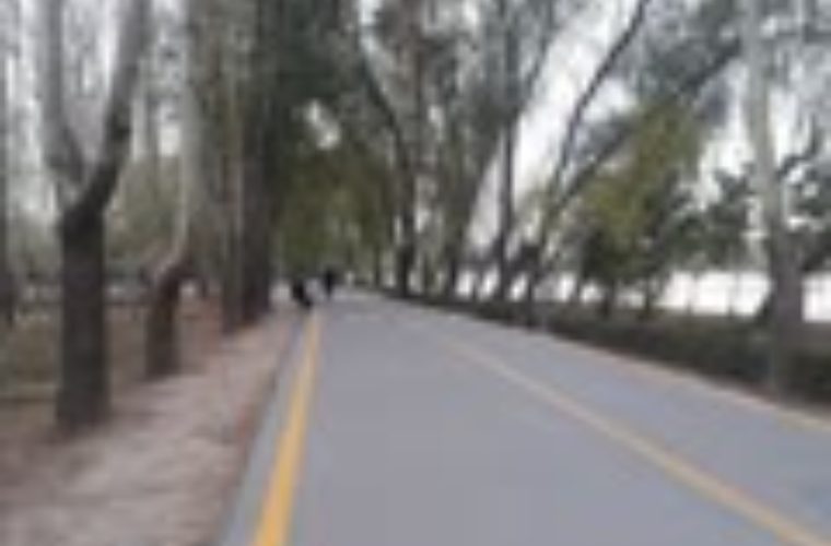 بهره برداری از مسیر سلامت دو خیابان در خانه اصفهان با ۱۴ میلیارد ریال اعتبار