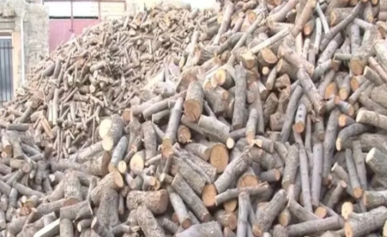 تعزیر قاچاقچی چوب بلوط تعزیر قاچاقچی چوب بلوط