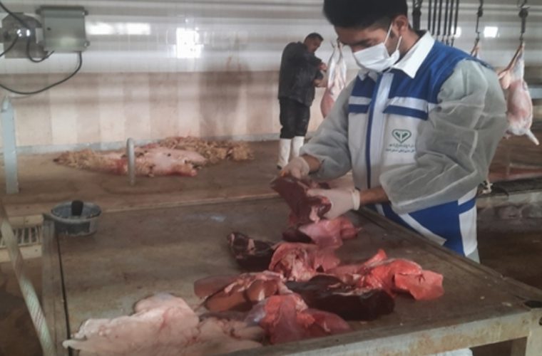 کشف و معدوم سازی بیش از یک هزار و ۸۰۰ کیلوگرم فرآورده خام دامی غیر قابل مصرف در شهرستان اردستان کشف و معدوم سازی بیش از یک هزار و ۸۰۰ کیلوگرم فرآورده خام دامی غیر قابل مصرف در شهرستان اردستان