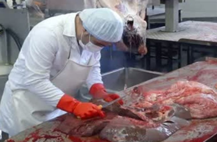 حذف بیش از ۹۰ تن گوشت قرمز غیر قابل مصرف در کشتارگاه دام شهرستان اصفهان