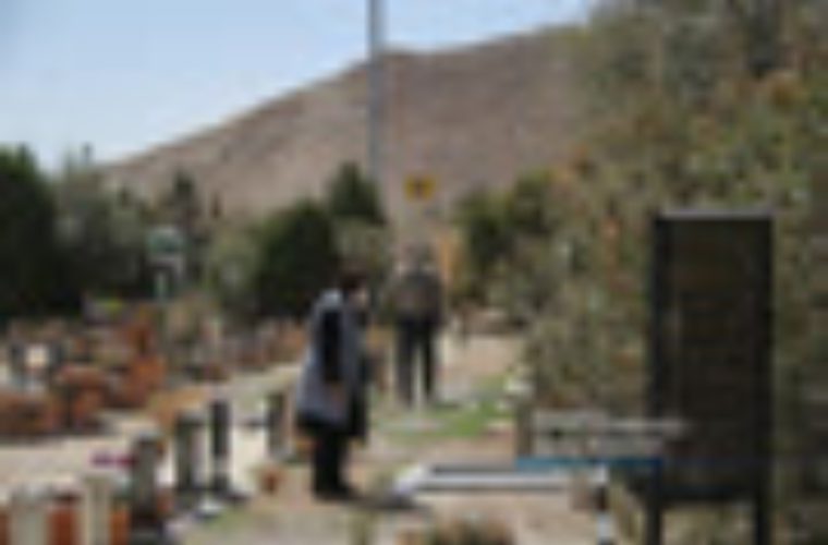 تجهیز ۵۰ هکتار از عرصه باغ رضوان به آبیاری تحت فشار