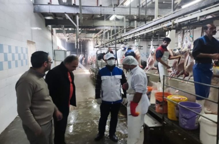 کشف و توقیف ۲۶ تن گوشت مرغ منجمد تاریخ گذشته در شهرستان اصفهان کشف و توقیف ۲۶ تن گوشت مرغ منجمد تاریخ گذشته در شهرستان اصفهان