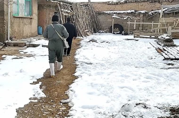 تداوم فعالیت های شبکه دامپزشکی در شرایط سرما و یخبندان در شهرستان بویین میاندشت