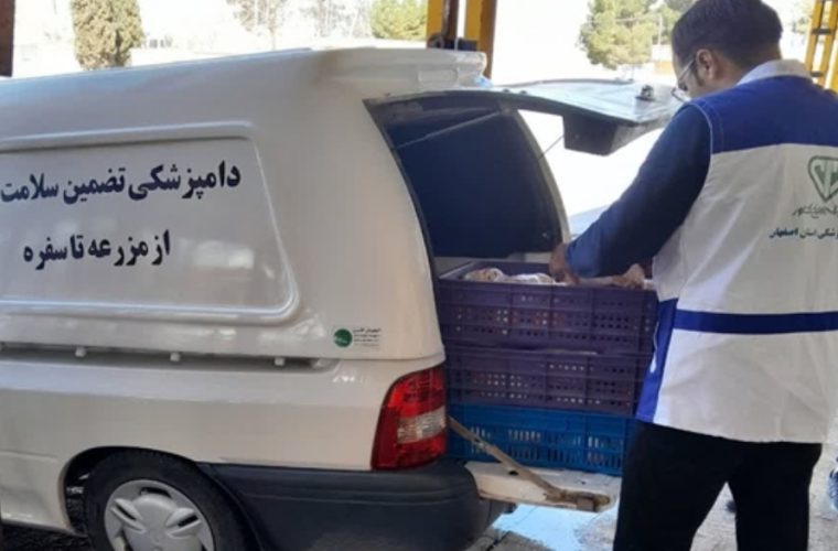 کشف بالغ بر ۴۵۰ کیلوگرم مرغ کامل و قطعات مرغ تاریخ گذشته در شهرستان نجف آباد کشف بالغ بر ۴۵۰ کیلوگرم مرغ کامل و قطعات مرغ تاریخ گذشته در شهرستان نجف آباد