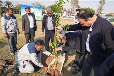 مهندس دانشی: توسعه باغستان ها در مناطق همجوار تاسیسات شتاب یابد مهندس دانشی: توسعه باغستان ها در مناطق همجوار تاسیسات شتاب یابد