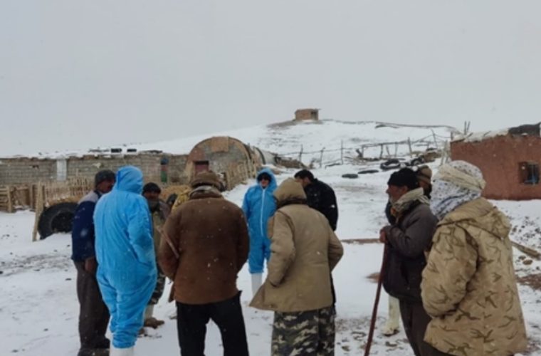 بررسی و پایش گله های مناطق کوهستانی در شهرستان کاشان بررسی و پایش گله های مناطق کوهستانی در شهرستان کاشان