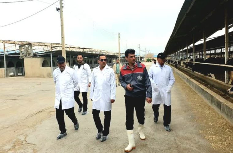 ریاست بنیاد مستضعفان در معیت مدیر عامل اتحادیه دامداران استان اصفهان از شرکت کشت و دامداری فکا بازدید،بعمل آوردند