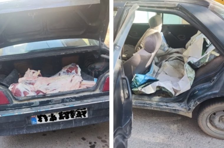 برخورد قانونی با حمل غیربهداشتی گوشت قرمز توسط خودروی سواری توسط شبکه دامپزشکی شهرستان دهاقان برخورد قانونی با حمل غیربهداشتی گوشت قرمز توسط خودروی سواری توسط شبکه دامپزشکی شهرستان دهاقان