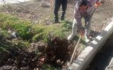 قطع انشعاب آب فضاهای سبز شهر سمیرم قطع انشعاب آب فضاهای سبز شهر سمیرم