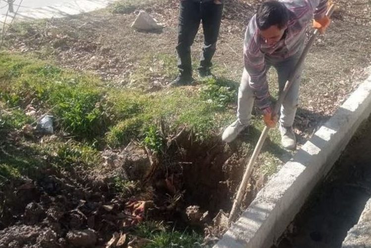 قطع انشعاب آب فضاهای سبز شهر سمیرم