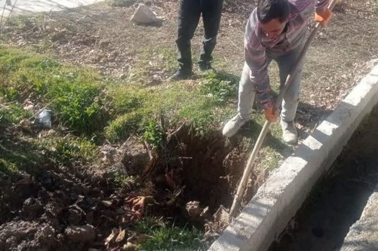 قطع انشعاب آب فضاهای سبز شهر سمیرم