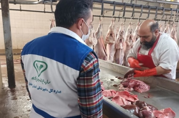 نظارت بهداشتی بر استحصال حدود ۴ هزار تن گوشت قرمز در کشتارگاه دام شهرستان مبارکه نظارت بهداشتی بر استحصال حدود ۴ هزار تن گوشت قرمز در کشتارگاه دام شهرستان مبارکه