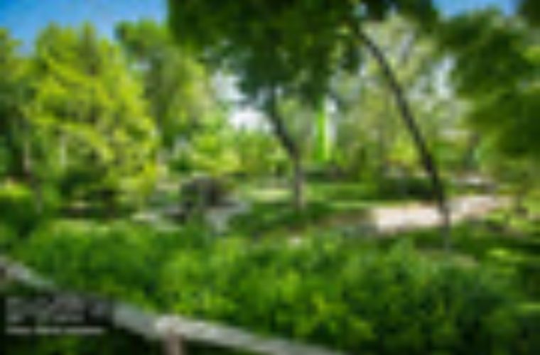 افزایش کیفیت آبیاری فضای سبز شهری با خرید و نصب دستگاه واترپلاس