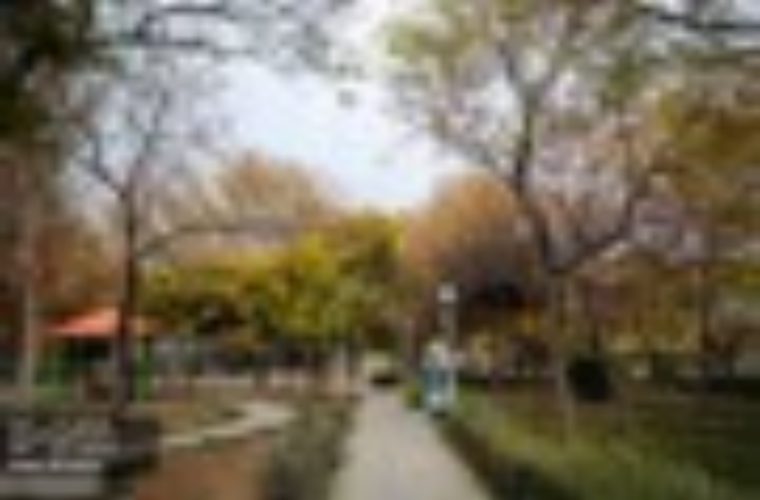 احداث فضای سبز «بیشه خزایی» با ۲۰ میلیارد تومان اعتبار احداث فضای سبز «بیشه خزایی» با ۲۰ میلیارد تومان اعتبار