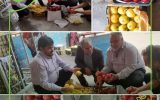 خروج نزدیک به ۸۰ تن میوه از سردخانه برنجکوبی تعاون روستایی