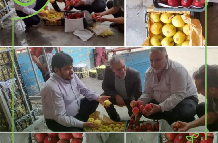 خروج نزدیک به ۸۰ تن میوه از سردخانه برنجکوبی تعاون روستایی