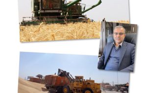 خرید بیش از ۸۴ هزار تن گندم و کلزا از کشاورزان خوزستان