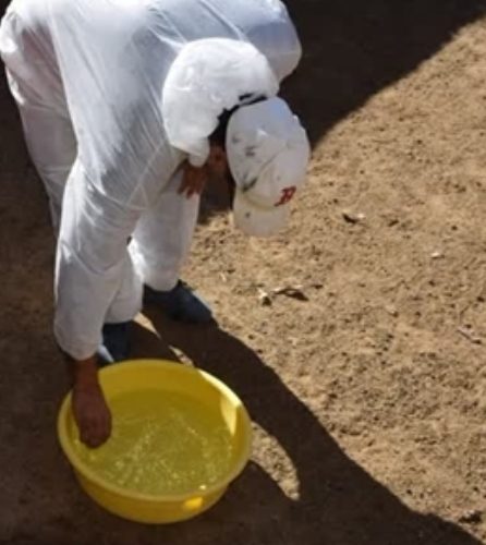 واکسیناسیون بیش از ۶۰ هزار قطعه طیور بومی علیه بیماری نیوکاسل در شهرستان گلپایگان