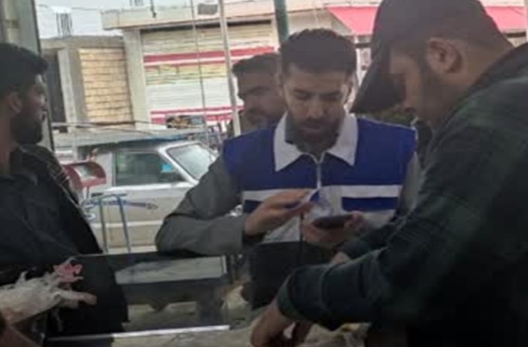 کشف دو لاشه کشتار غیر مجاز با جعل مهر و لیبل دامپزشکی در شهرستان چادگان