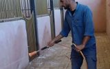 عملیات ضدعفونی بیش از ۳۸ اصطبل پرورش اسب در شهرستان خمینی شهر عملیات ضدعفونی بیش از ۳۸ اصطبل پرورش اسب در شهرستان خمینی شهر