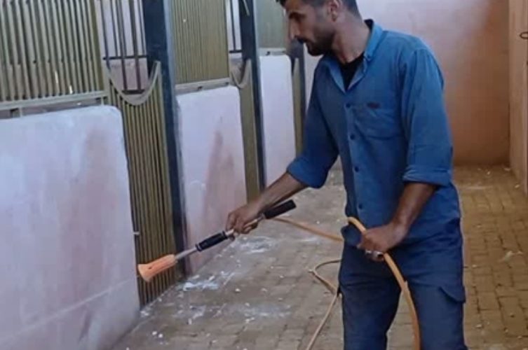 عملیات ضدعفونی بیش از ۳۸ اصطبل پرورش اسب در شهرستان خمینی شهر