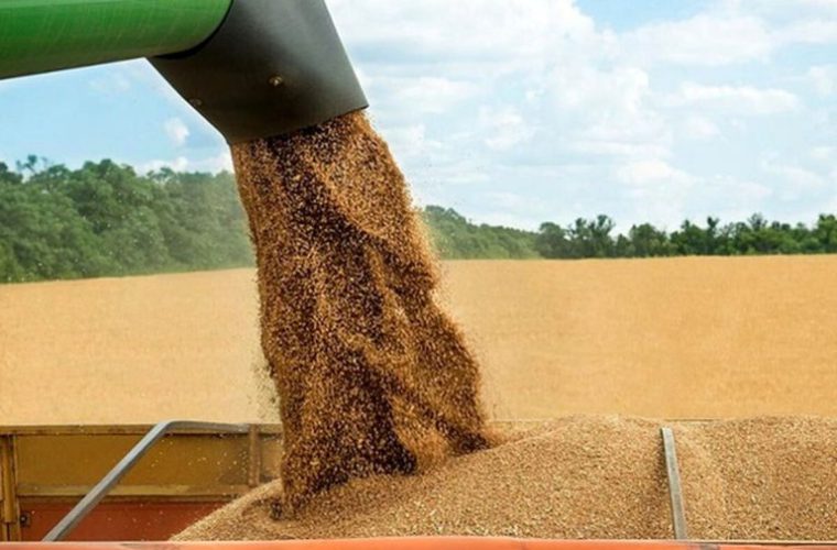 خرید بیش از یک میلیون تن گندم و کلزا توسط مراکز تعاون روستایی خوزستان خرید بیش از یک میلیون تن گندم و کلزا توسط مراکز تعاون روستایی خوزستان