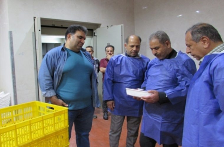 بازدید نماینده مردم شهرستان فلاورجان از چند واحد تحت نظارت دامپزشکی این شهرستان بازدید نماینده مردم شهرستان فلاورجان از چند واحد تحت نظارت دامپزشکی این شهرستان