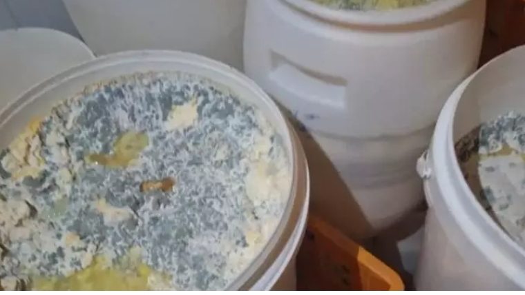 پلمب یک کارگاه تولید لبنیات غیر بهداشتی