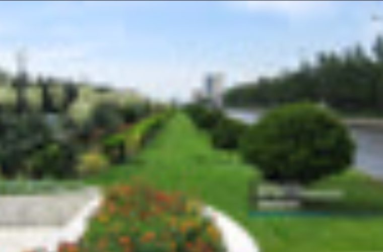 کاشت ۱۱۰ هزار اصله درخت در ۳۰ محور شهر تا بیستم خردادماه امسال کاشت ۱۱۰ هزار اصله درخت در ۳۰ محور شهر تا بیستم خردادماه امسال