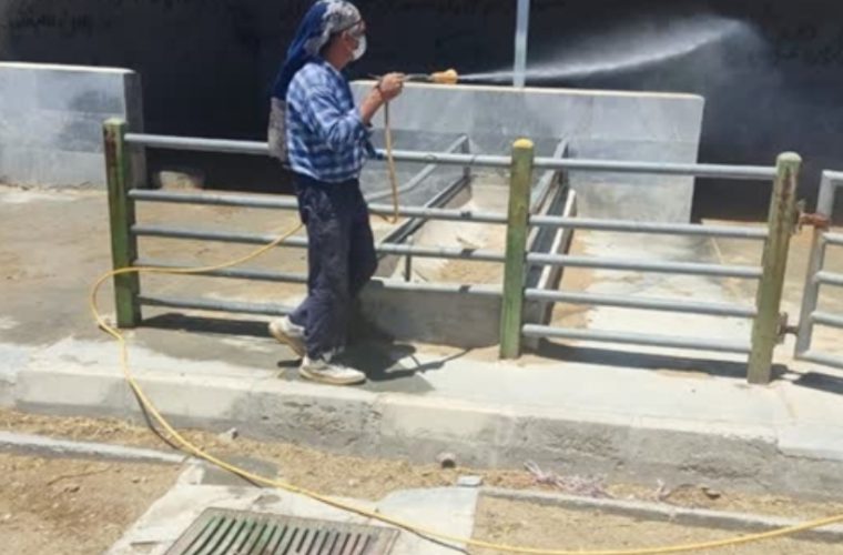 دومین مرحله ی عملیات سم پاشی در کشتارگاه صنعتی دام شهرستان اصفهان با مساحت بیش از ۱۸ هکتار