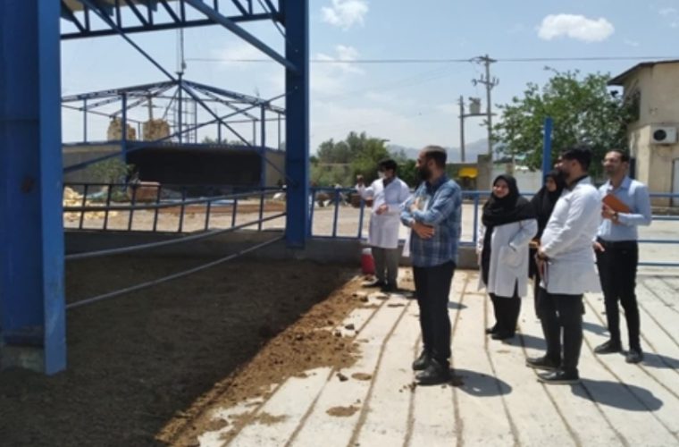 برگزاری کلاسهای آموزشی برای بهورزان شهرستان کاشان