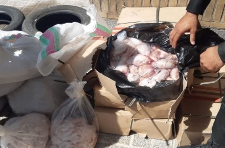 کشف و معدوم سازی چهار صد و پنجاه کیلوگرم آلایش دامی غیر مجاز در شهرستان نائین