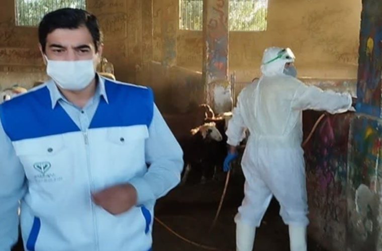 اجرای عملیات سم پاشی و ضد عفونی میدان دام شهرستان خمینی شهر