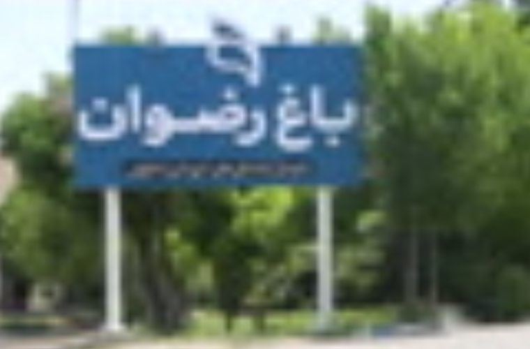 زنده‌گیری روزانه سگ‌های بی‌سرپرست در باغ رضوان / ‏ مردم از غذادهی به سگ‌ها خودداری کنند