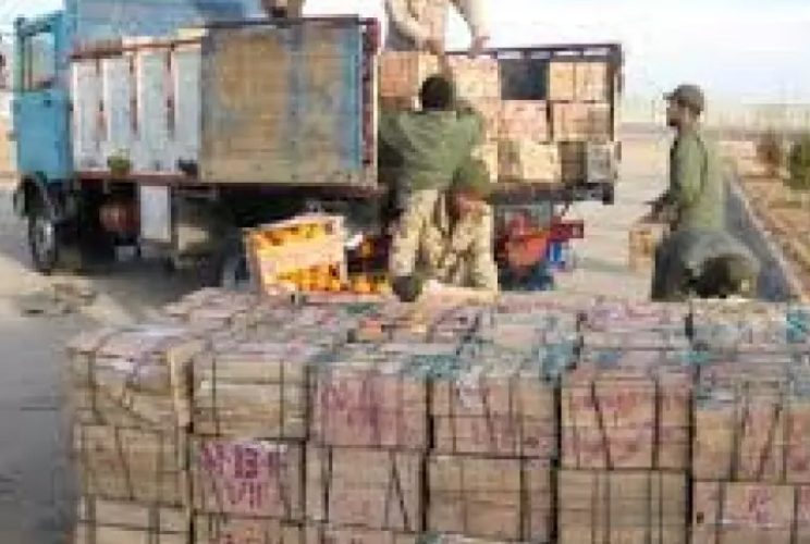 توقیف میوه های خارجی در کاشان