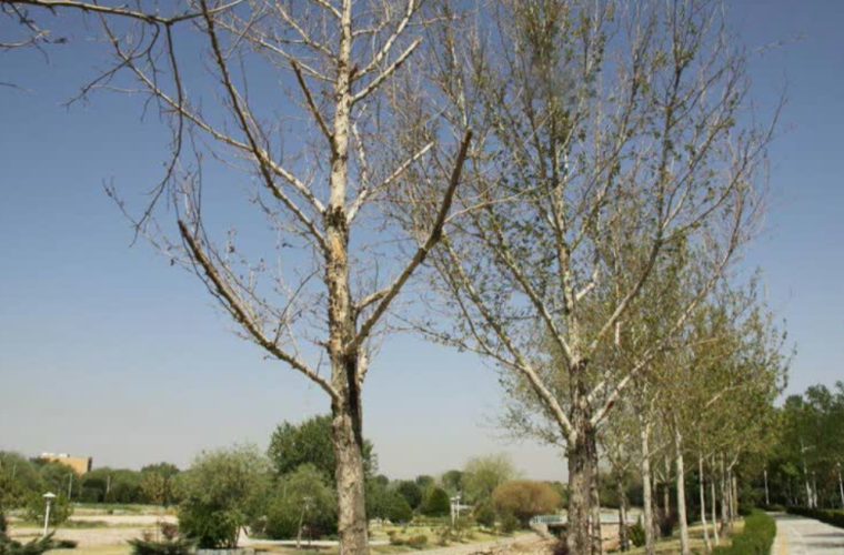 بهره‌برداری از مخزن آب ۲۰۰ متر مکعبی پارک مشتاق