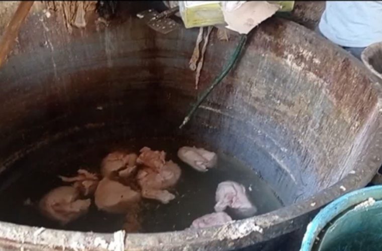 کشف ۷۰۰ کیلوگرم دنبه گوسفندی تاریخ گذشته توسط شبکه دامپزشکی شهرستان خمینی شهر