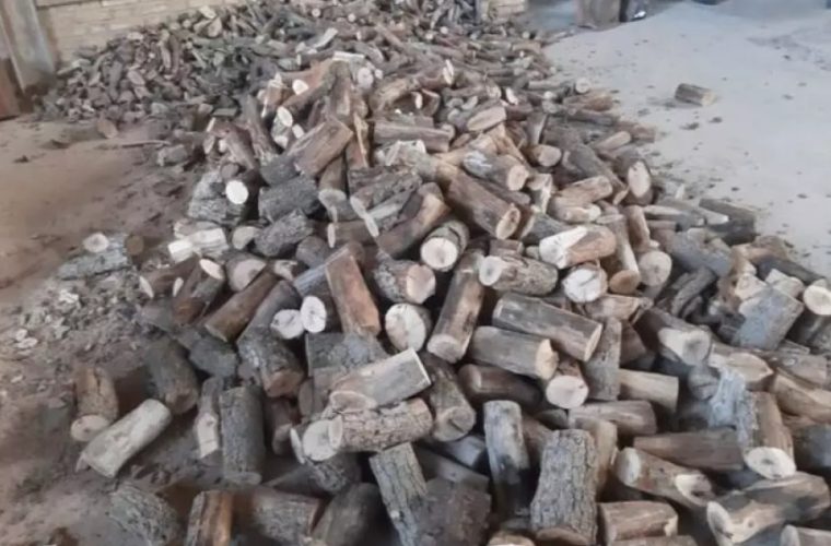 جزای نقدی سزای قاچاق چوب جنگلی در خمینی شهر