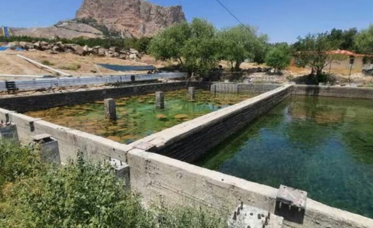 پیشرفت ۴۰ درصدی ایمنسازی مخازن آب فضای سبز پارک صفه پیشرفت ۴۰ درصدی ایمنسازی مخازن آب فضای سبز پارک صفه