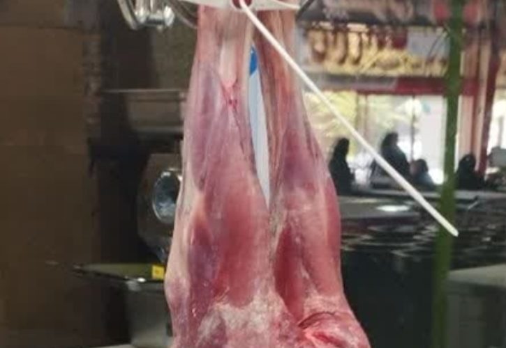 کشف و ضبط یک عدد لاشه کشتار غیرمجاز توسط شبکه دامپزشکی شهرستان خمینی شهر