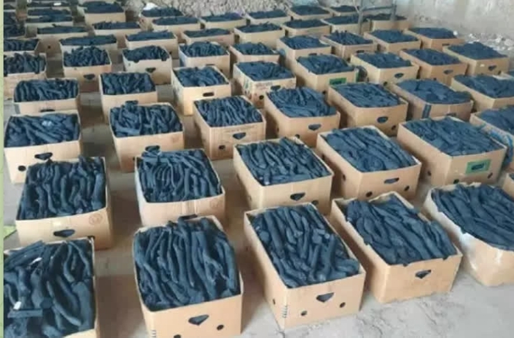 محکومیت سنگین قاچاقچی ذغال‌های جنگلی در اردستان