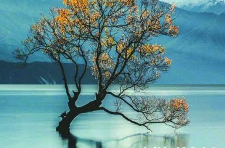 اصفهان میزبان نمایشگاه نقاشی کودکان کم توان ذهنی