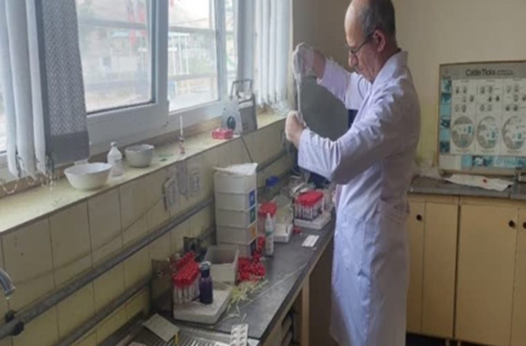 تست تشخیص بروسلوز در ۳۲۵ راس دام سبک در شهرستان فریدونشهر