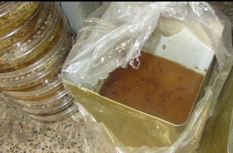 تلخ شدن شیرینی عسل تقلبی برای متخلف